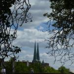 signal-2025-05-04-113012_010